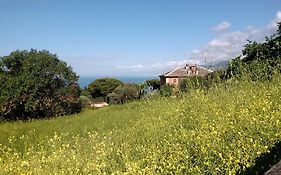 B&B Casa Ninni